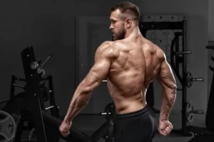 How to Strengthen Rhomboids: 4 Dead Easy Rhomboid Exercises 11 back-muscles-man-in-content.jpg